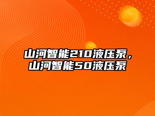 山河智能210液壓泵，山河智能50液壓泵