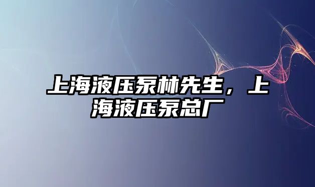 上海液壓泵林先生，上海液壓泵總廠