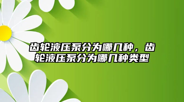 齒輪液壓泵分為哪幾種，齒輪液壓泵分為哪幾種類型