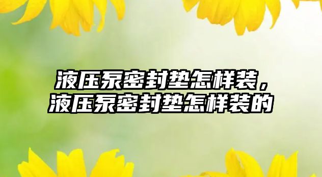 液壓泵密封墊怎樣裝，液壓泵密封墊怎樣裝的