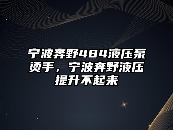 寧波奔野484液壓泵燙手，寧波奔野液壓提升不起來