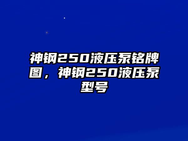 神鋼250液壓泵銘牌圖，神鋼250液壓泵型號(hào)