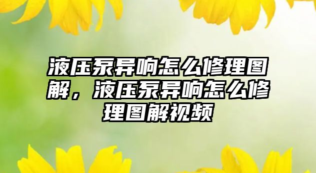 液壓泵異響怎么修理圖解，液壓泵異響怎么修理圖解視頻