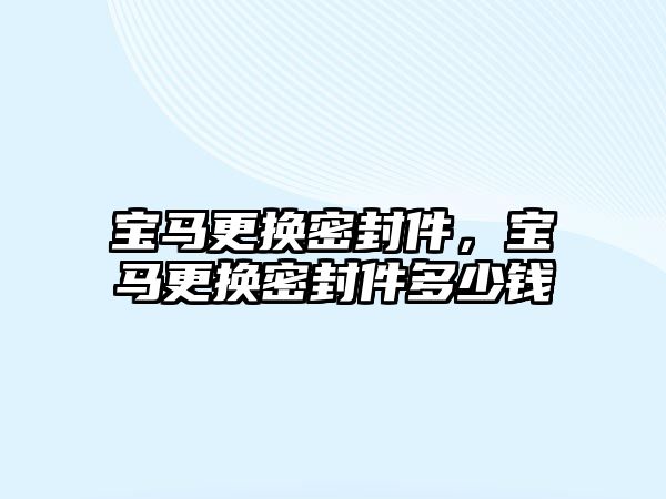 寶馬更換密封件，寶馬更換密封件多少錢