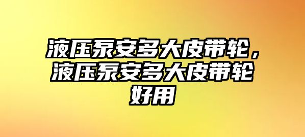 液壓泵安多大皮帶輪，液壓泵安多大皮帶輪好用