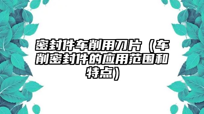 密封件車削用刀片（車削密封件的應(yīng)用范圍和特點）