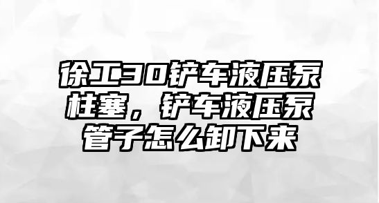 徐工30鏟車液壓泵柱塞，鏟車液壓泵管子怎么卸下來