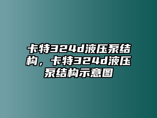 卡特324d液壓泵結(jié)構(gòu)，卡特324d液壓泵結(jié)構(gòu)示意圖