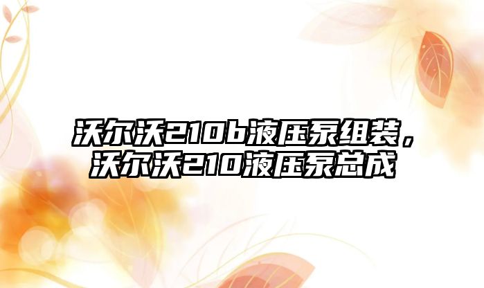 沃爾沃210b液壓泵組裝，沃爾沃210液壓泵總成