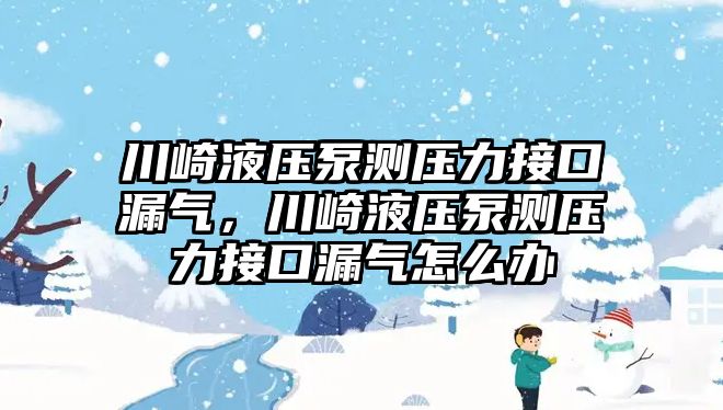 川崎液壓泵測(cè)壓力接口漏氣，川崎液壓泵測(cè)壓力接口漏氣怎么辦