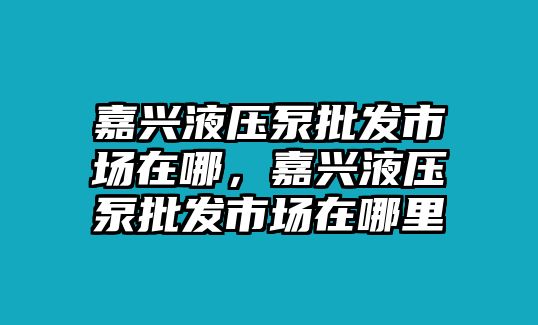 嘉興液壓泵批發(fā)市場(chǎng)在哪，嘉興液壓泵批發(fā)市場(chǎng)在哪里