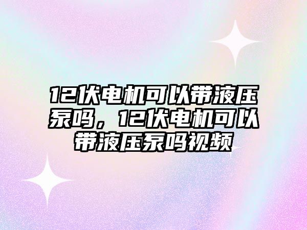 12伏電機(jī)可以帶液壓泵嗎，12伏電機(jī)可以帶液壓泵嗎視頻