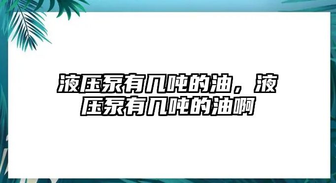 液壓泵有幾噸的油，液壓泵有幾噸的油啊