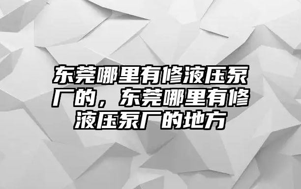 東莞哪里有修液壓泵廠的，東莞哪里有修液壓泵廠的地方