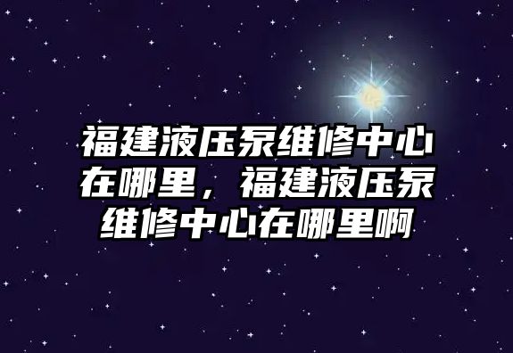 福建液壓泵維修中心在哪里，福建液壓泵維修中心在哪里啊