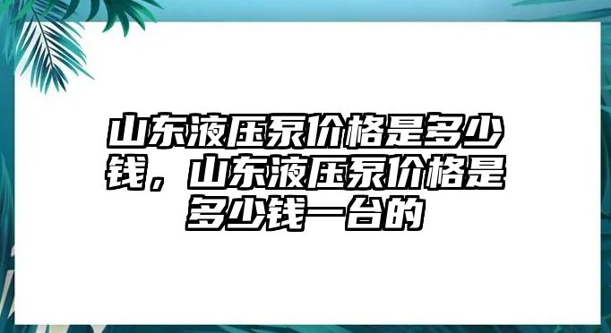 山東液壓泵價(jià)格是多少錢，山東液壓泵價(jià)格是多少錢一臺(tái)的