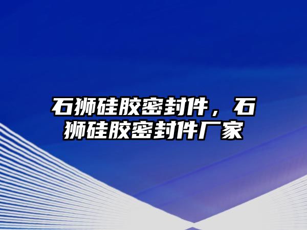 石獅硅膠密封件，石獅硅膠密封件廠家