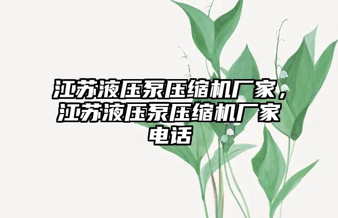 江蘇液壓泵壓縮機廠家，江蘇液壓泵壓縮機廠家電話