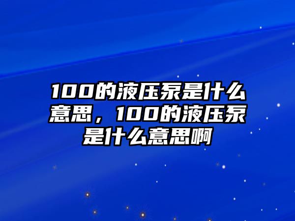 100的液壓泵是什么意思，100的液壓泵是什么意思啊