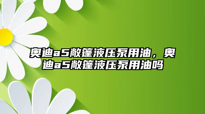 奧迪a5敞篷液壓泵用油，奧迪a5敞篷液壓泵用油嗎