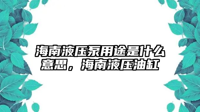 海南液壓泵用途是什么意思，海南液壓油缸