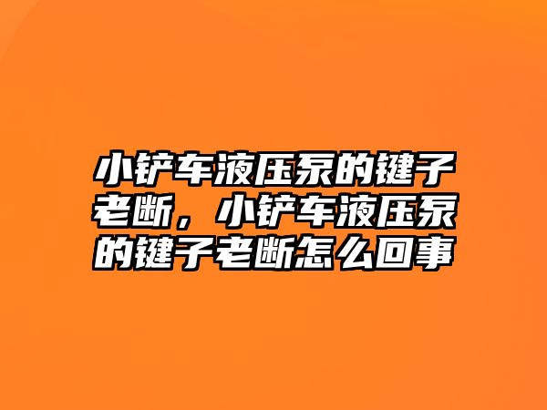 小鏟車液壓泵的鍵子老斷，小鏟車液壓泵的鍵子老斷怎么回事