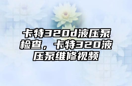 卡特320d液壓泵檢查，卡特320液壓泵維修視頻