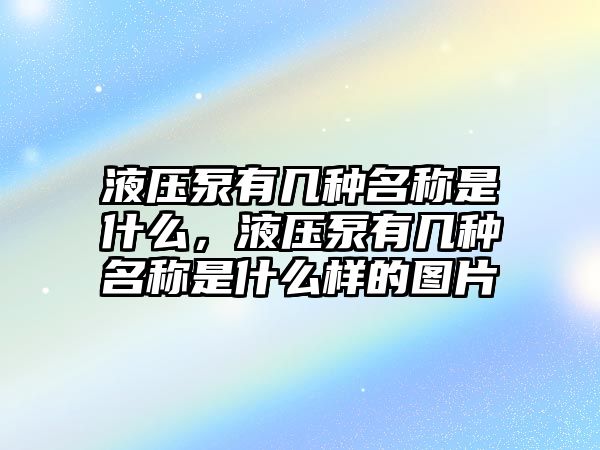 液壓泵有幾種名稱(chēng)是什么，液壓泵有幾種名稱(chēng)是什么樣的圖片