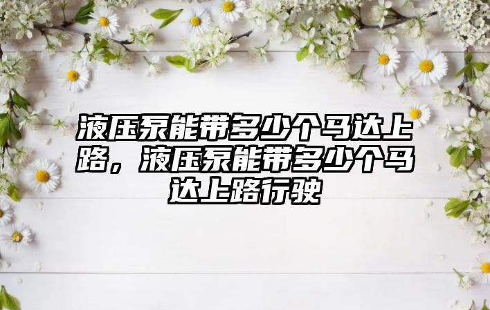 液壓泵能帶多少個(gè)馬達(dá)上路，液壓泵能帶多少個(gè)馬達(dá)上路行駛