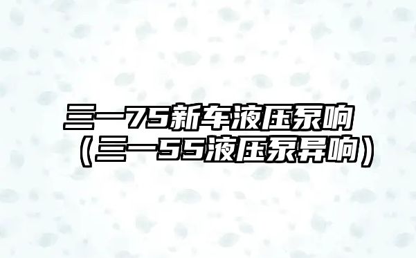 三一75新車(chē)液壓泵響（三一55液壓泵異響）