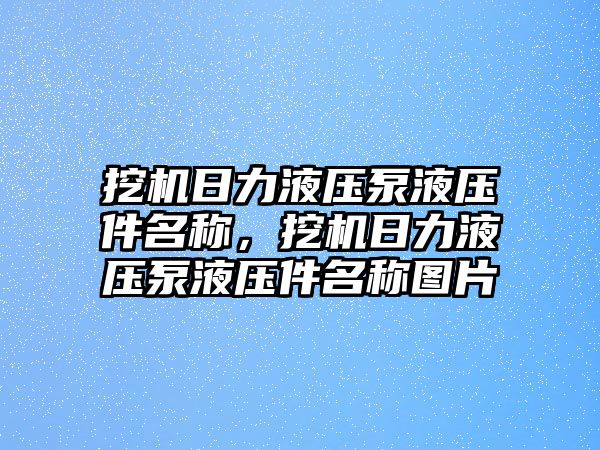 挖機(jī)日力液壓泵液壓件名稱，挖機(jī)日力液壓泵液壓件名稱圖片