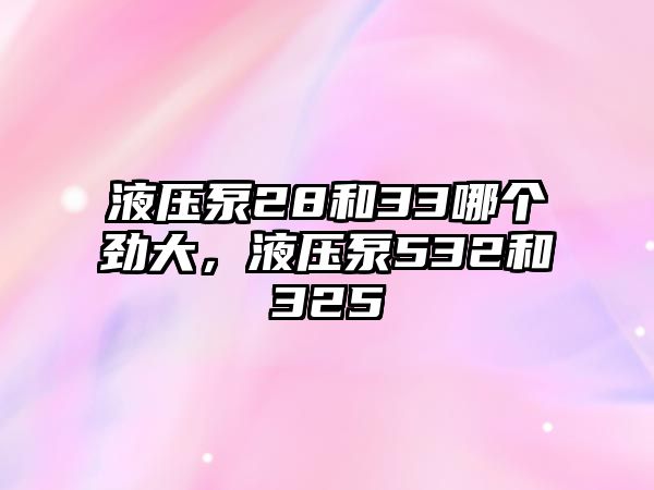 液壓泵28和33哪個(gè)勁大，液壓泵532和325